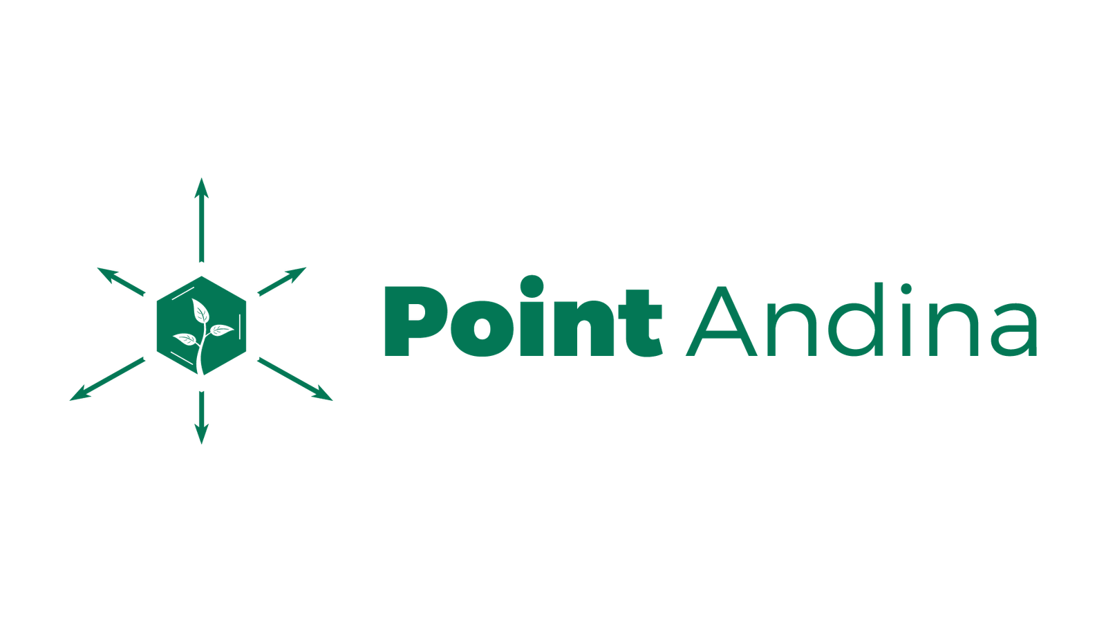 point andina